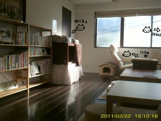 20110228ネコのいるカフェ.jpg