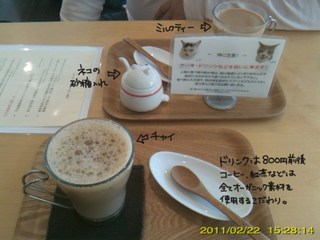 20110228ネコのいるカフェ2.jpg