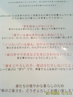 20110228ネコのいるカフェ4.jpg